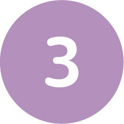 3 circle icon
