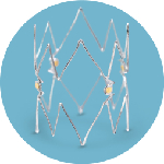 a close-up of a crown